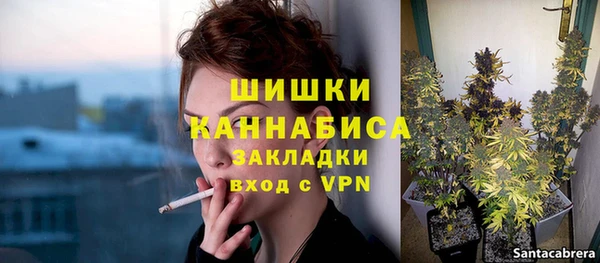 PSILOCYBIN Балабаново