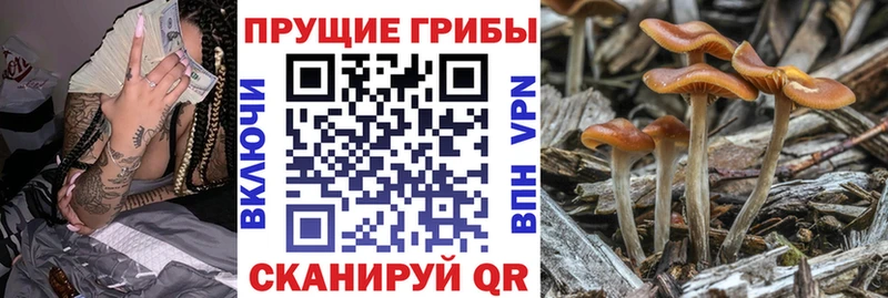 как найти закладки  Абакан  shop как зайти  Псилоцибиновые грибы Cubensis 